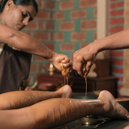 Kairali - The Ayurvedic Healing Village Палакад Екстериор снимка