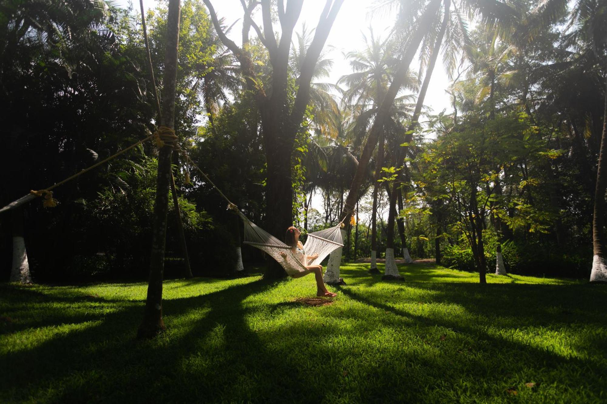 Kairali - The Ayurvedic Healing Village Палакад Екстериор снимка
